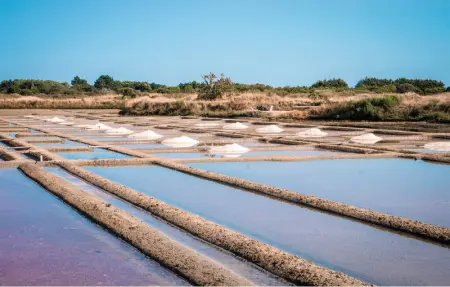 Location Maison 8 personnes à Nantes - Photo 24