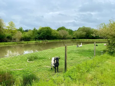 Gîte Indépendant au Calme avec Jardin et Wifi, à 12 km des Plages - Photo 11