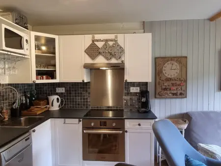 Duplex lumineux 6/7 pers, accès pistes, WIFI, animaux acceptés - Photo 2