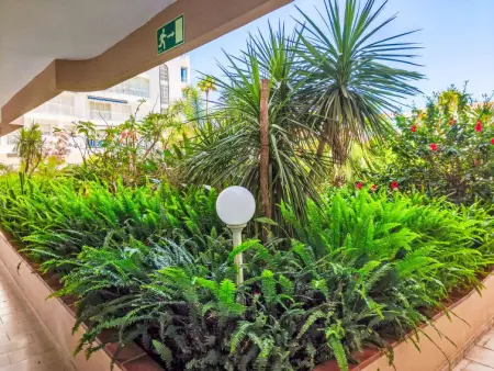 Edificio El Rey, Appartement 4 personnes à Fuengirola - Photo 41