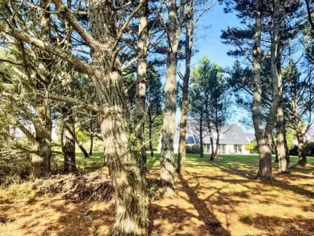 Le Prado, Maison 14 personnes à Saint Philibert - Photo 37