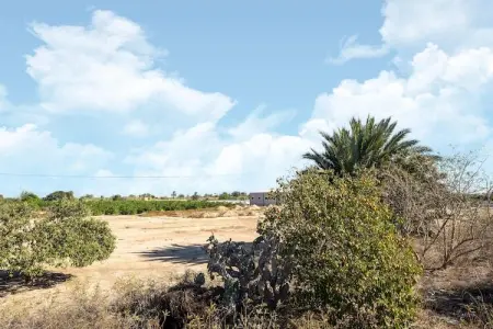 Casita Nicoline, Maison 2 personnes à Ciudad Quesada - Photo 30