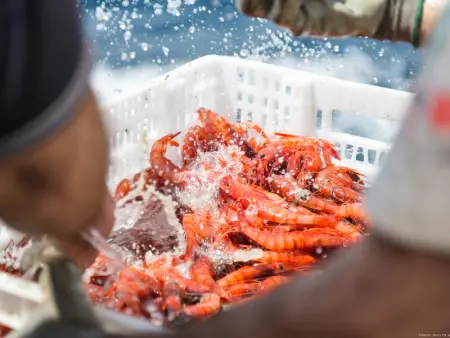 Appartement moderne à 50m de la plage, terrasse, climatisation et WiFi - Calella de Palafrugell - Photo 19