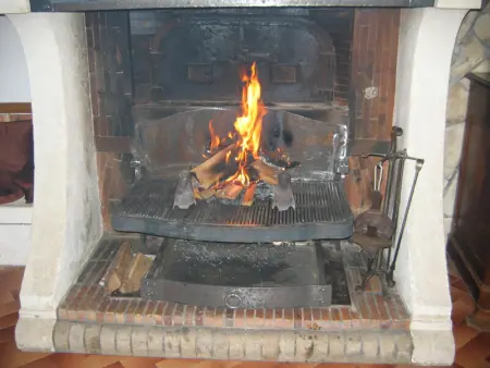 Maison familiale à Ferrières-sur-Sichon avec cheminée et jardin dans cadre rural - Photo 13