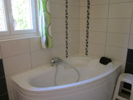 Maison familiale à Ferrières-sur-Sichon avec cheminée et jardin dans cadre rural - Photo 16