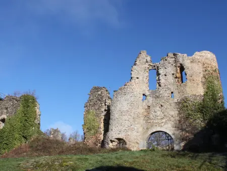 Maison familiale à Ferrières-sur-Sichon avec cheminée et jardin dans cadre rural - Photo 24