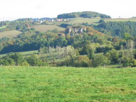 Maison familiale à Ferrières-sur-Sichon avec cheminée et jardin dans cadre rural - Photo 30