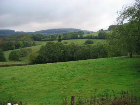 Maison familiale à Ferrières-sur-Sichon avec cheminée et jardin dans cadre rural - Photo 31