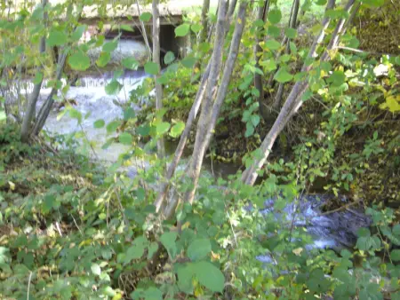 Maison familiale à Ferrières-sur-Sichon avec cheminée et jardin dans cadre rural - Photo 33