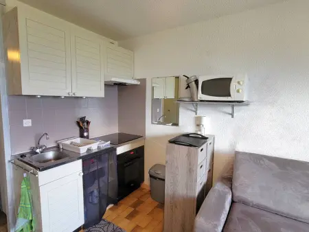 Studio cosy 2 pers au pied des pistes, Appartement 2 personnes à Saint Michel de Chaillol - Photo 1