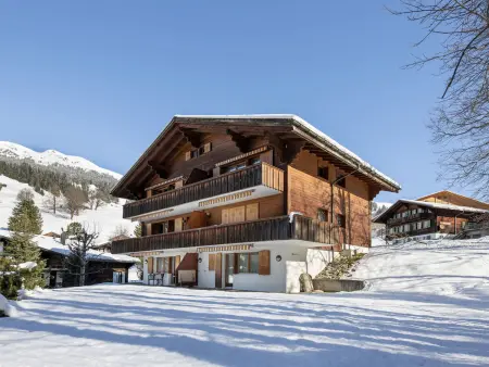 Chalet Sunneblick, Appartement 2 personnes à Grindelwald - Photo 20