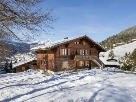 Chalet Sunneblick, Appartement 2 personnes à Grindelwald - Photo 21