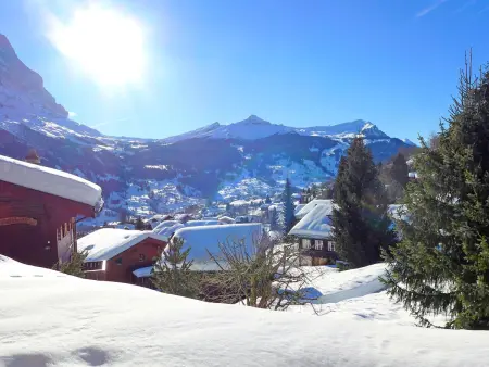 Chalet Sunneblick, Appartement 2 personnes à Grindelwald - Photo 27