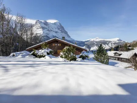 Chalet Sunneblick, Appartement 2 personnes à Grindelwald - Photo 28