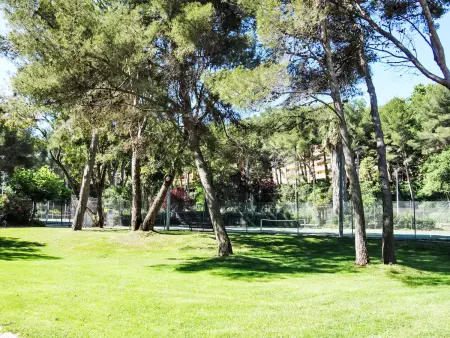 Le Grand Large, Appartement 4 personnes à Six Fours La Coudoulière - Photo 24