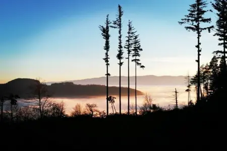 468599, Gite 4 personnes à CASTEL SAN NICCOLO' - Photo 20