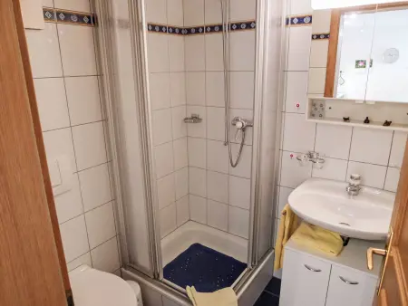 Sierra Vista, Appartement 4 personnes à Grächen - Photo 12