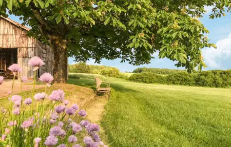 Location Maison 4 personnes à Savignac sur Leyze - Photo 8