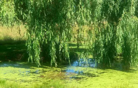 Location Maison 2 personnes à Savignac sur Leyze - Photo 12