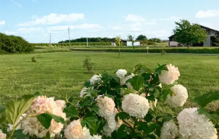 Location Maison 2 personnes à Savignac sur Leyze - Photo 22