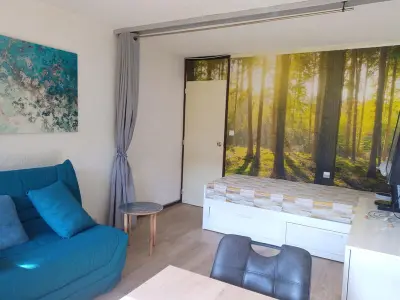 Appartement à La Plagne, Studio lumineux pour 4 pers. au pied des pistes, balcon sud, animaux admis - L1019280