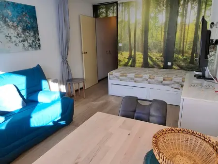 Studio lumineux pour 4 pers. au pied des pistes, balcon sud, animaux admis - Photo 2