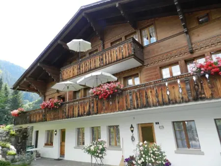 Abendrot, Appartement 2 personnes à Saanen - Photo 2
