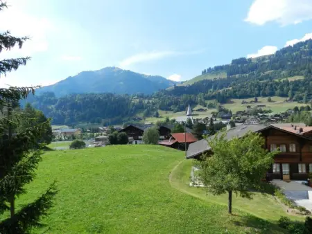 Abendrot, Appartement 2 personnes à Saanen - Photo 6