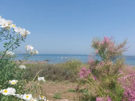 Le Sémaphore, Maison 6 personnes à Pleubian - Photo 32