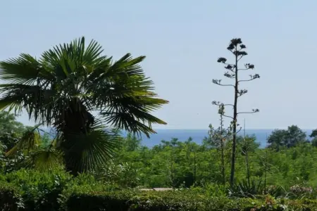 Villa Amaris, Villa à Novigrad avec Piscine et Terrasse - Photo 34