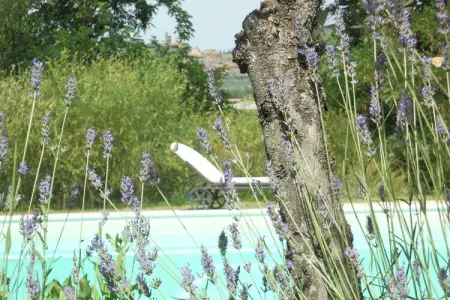 Poggiolino, Maison de vacances confortable avec terrasse - Photo 26