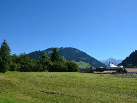 Jacqueline 2, Appartement 4 personnes à Gstaad - Photo 5