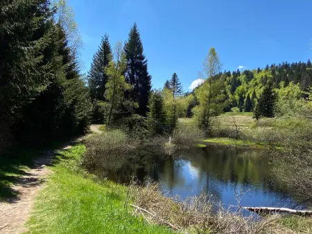 Appartement moderne à La Bresse, 2 chambres, accès PMR - Photo 19