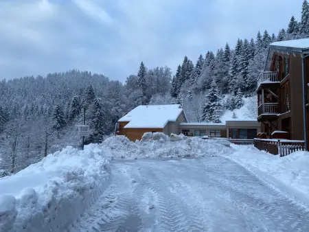 Appartement moderne à La Bresse, 2 chambres, accès PMR - Photo 21