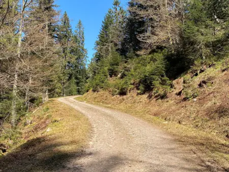 Appartement moderne à La Bresse, 2 chambres, accès PMR - Photo 24
