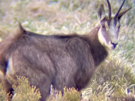 Appartement moderne à La Bresse, 2 chambres, accès PMR - Photo 26