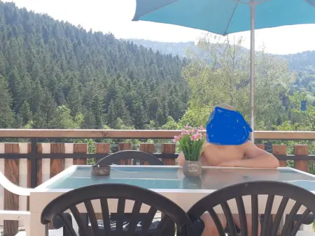 Chalet familial Vosges avec baby-foot et animaux admis - Photo 8