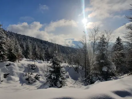 Chalet familial Vosges avec baby-foot et animaux admis - Photo 29