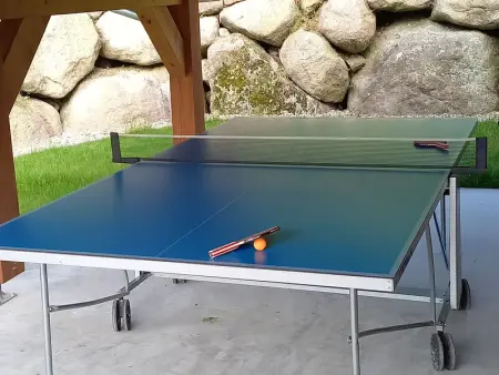 Chalet au cœur des Vosges avec sauna, terrasse et connexion WIFI - Photo 33