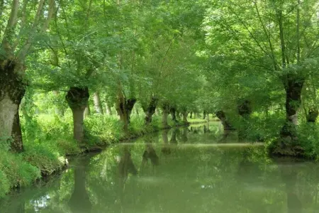 La Rivière, Bungalow en France près du Château & Randonnées - Photo 36