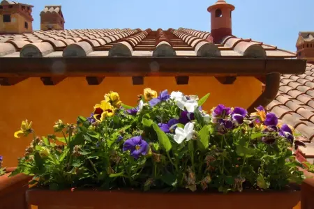 Il Torrino del Borgo, Joli appartement près de San Gimignano - Photo 38