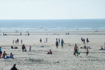 Berck sur Mer 1, Vivre en bord de mer avec parking - Photo 27