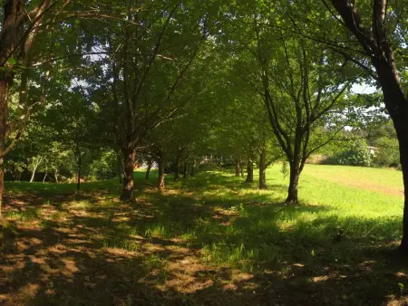 El Olivo, Maison 6 personnes à Perbes Rías Altas - Photo 15