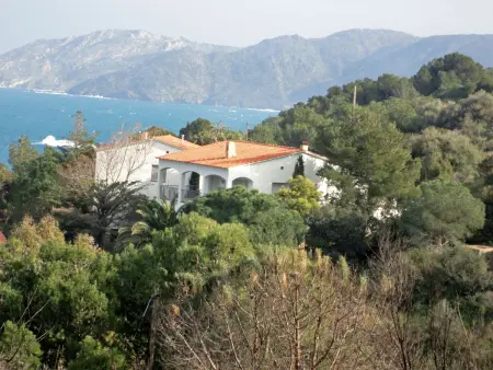 Cap de Vol, Appartement 4 personnes à Llançà - Photo 9