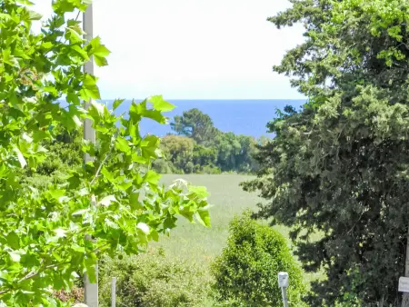 Lup - Les terrasses d'Alistro, Appartement 6 personnes à San Nicolao - Photo 16