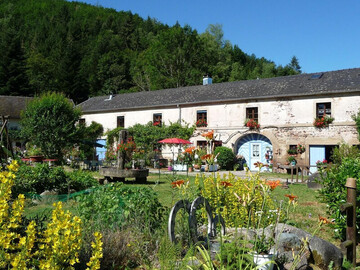 Gite à Esmoulières,Moulin serein dans les Vosges du Sud - Gîte authentique et confort moderne FR-1-583-112 N°1022238