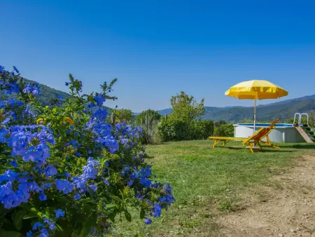 Il Poderino, Maison 5 personnes à Dicomano - Photo 8