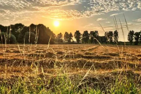 Casa Olivos, Maison 8 personnes à Kortrijk - Photo 33