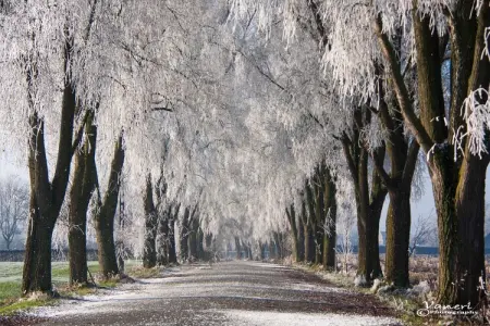 Casa Olivos, Maison 8 personnes à Kortrijk - Photo 36