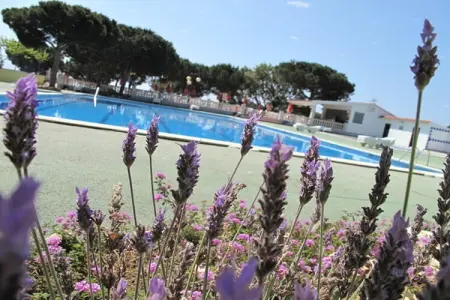 Camping Rocagrossa Bungalow 4 people, Bungalow 4 personnes à Calella - Photo 11
